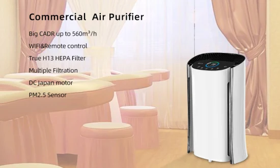 Ampio filtro HEPA commerciale con purificatore d'aria ad alto cadr, APP WiFi e telecomando